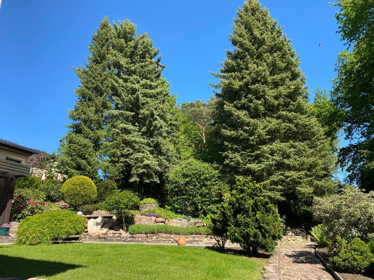 Odenwald Chalet Erbach  Dış mekan fotoğraf