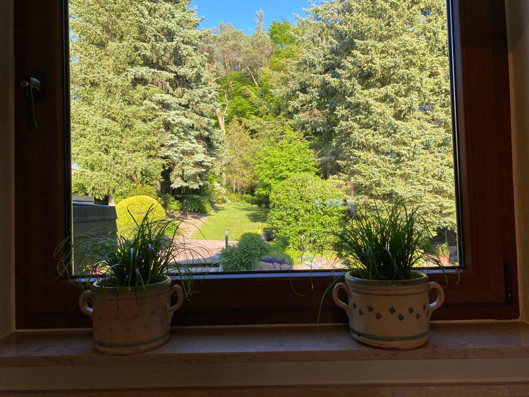 Odenwald Chalet Erbach  Dış mekan fotoğraf